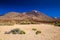 Las Canadas National park with mount Teide