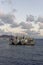 Las Palmas, Canary Islands - 1st November 2011:General Cargo Vessels moored alongside the Breakwater Harbour Entrance.