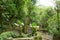Las Pozas also known as Edward James Gardens in Mexico