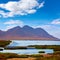 Las Salinas Cabo de Gata Almeria flamingos Spain