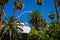 Las Vegas, Nevada, USA - High roller Ferris wheel peaking behind the trees