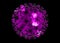 Laser cut border Mandala of purple flowers, pink floral pattern with blooming Hibiscus flowers, Botanical print Vintage textile