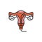 Laser treatment cervical pathology color line icon. Female reproductive system checkup. Sign for web page, mobile app, button,