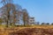 Lasndscape of nature park in The Netherlands