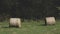 The last bale of straw before autumn