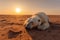 The last breath of a polar bear in the desert: an image that denounces climate change,A polar bear dies in the desert, Generative