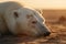 The last breath of a polar bear in the desert: an image that denounces climate change,A polar bear dies in the desert, Generative