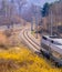 Last car of a train in woodland area