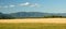 The last days of summer. Agricultural landscape. The boundary between the fields with unharvested grain harvest.