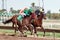 Last Horse Races In Arizona Until Fall