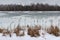 Last ice.The end of winter,the beginning of spring.Landscape with melting ice and reeds at the shore in early spring or late winte