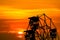 last light of sunset on sky and silhouette ferris wheel