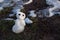 Last miniature snowman standing in mud and grass, melting in the evening sun in spring