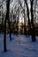 Last rays of sun looking through bare naked broadleaf trees during winter season. Location Zobor hill near Nitra city