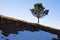 Last snow and a tree in early spring, mount Stolovi