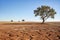 The Last Tree: A Haunting Portrait of Environmental Degradation in a Desolate Landscape