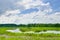 The last wild places. Cloudy landscape with Narew