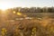 Late afternoon along marsh on Carvalho Farm Trail in Fairhaven, Massachusetts