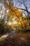 Late Afternoon on Cades Cove Loop Road