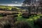 Late Afternoon in Early Spring, Rhondda.