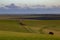 Late afternoon on Firle Beacon in December