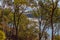 Late Afternoon Light On The Water Of A Dam