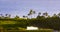 Late afternoon ocean view with palm  trees