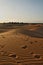Late afternoon on Sahara desert
