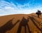 Late afternoon shadows of Dromedary camels and caravan led by Tuareg man in Merzouga, Erg Chebbi, Morocco