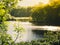 Late afternoon sun reflecting on a lake in spring.