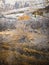 Late autumn afternoon along the trail to Calf Creek Falls, northern Grand Staircase Escalante