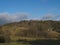 Late autumn or early winter landscape with green hills, meadow, bare trees, spruce tree forest and wooden cottage. Blue