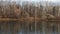 Late autumn. The first ice on the forest lake. The hummocks are covered with a thin layer of snow, the ice is very thin.