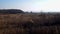 Late autumn. Floodplain at the mouth of the river. Wide river valley overgrown with reeds.