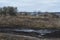 Late autumn landscape with dry herbs, trees and country dirty road. Countryside. Rural view