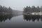 Late Autumn at Oulanka National Park