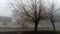 Late autumn or winter in a Serbian village. Thick fog enveloped the countryside. Black silhouettes of dropped trees. There is no