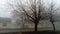 Late autumn or winter in a Serbian village. Thick fog enveloped the countryside. Black silhouettes of dropped trees. There is no