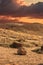 Late evening with Petrified rocks at the Petrified National Forrest, AZ, USA