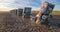 A late evening view of Cadillac Ranch, Amarillo, TX on Route 66