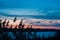 Late evening winter landscape, frozen lake, bulrush, blue and pink sky, deep blue clouds, winter nature panorama background photo