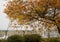 Late fall at Harbor Seal Marina, Point Roberts - 1