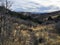 Late Fall panorama forest views hiking, biking, horseback trails through trees on the Yellow Fork and Rose Canyon Trails in Oquirr