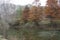 Late fall pond scene