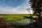 Late season rice farming showing water pumped from reservoirs to help rice production during winter season