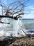 Late spring cold weather forms lake ice from waves along shoreline