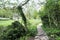 A late spring pathway to Roche Abbey.