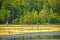 Late Spring on a Rural Marshland