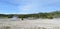 Late Spring in Yellowstone National Park: Looking Across Firehole River and Oblong Geyser of the Giant Group in Upper Geyser Basin