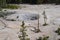 Late Spring in Yellowstone National Park: Mud Crater MVNN008 Just Behind Sulphur Caldron Along the Grand Loop Road